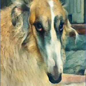 Meet your Posher, Wendy